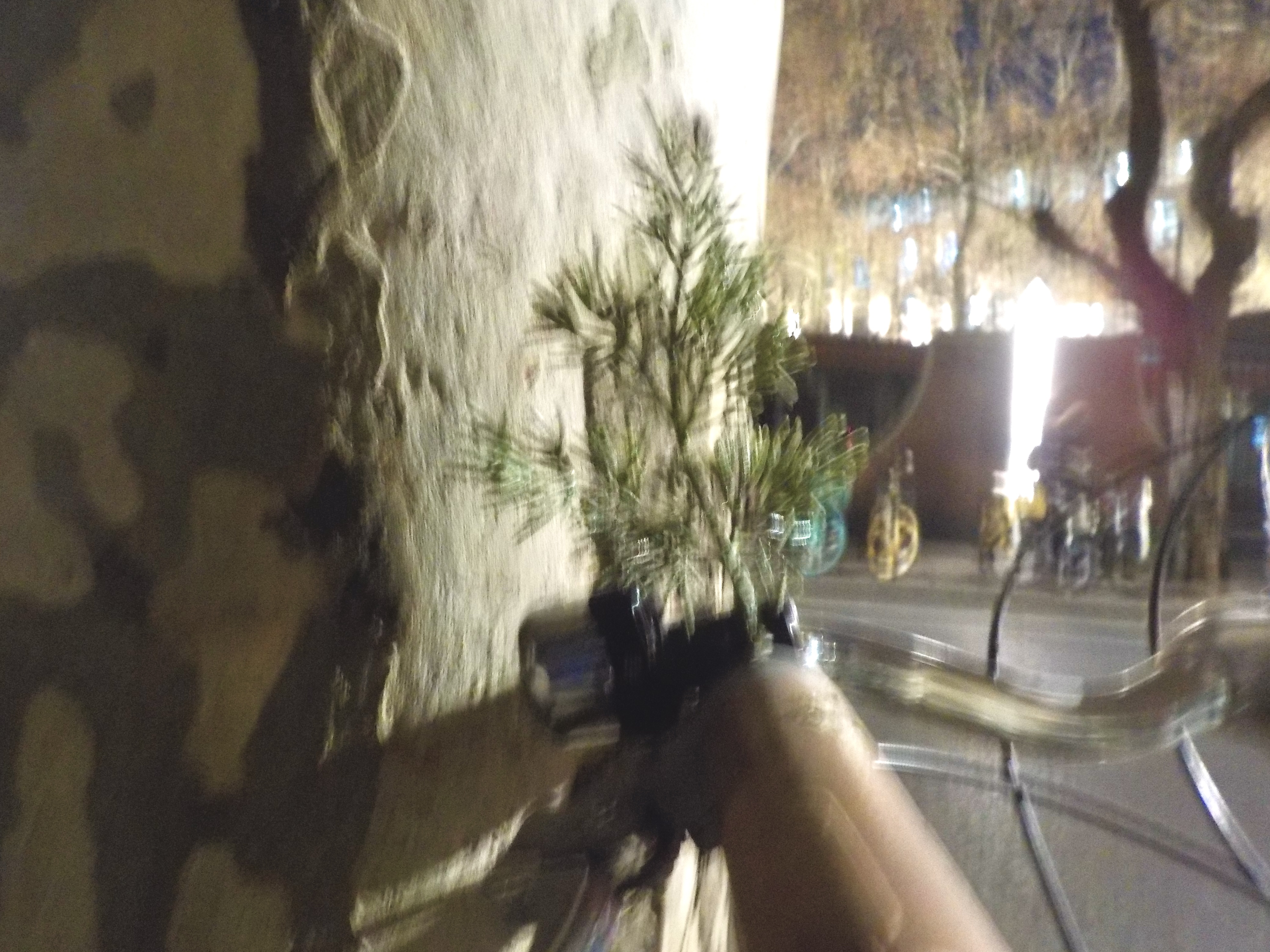 a tree growing from handlebars